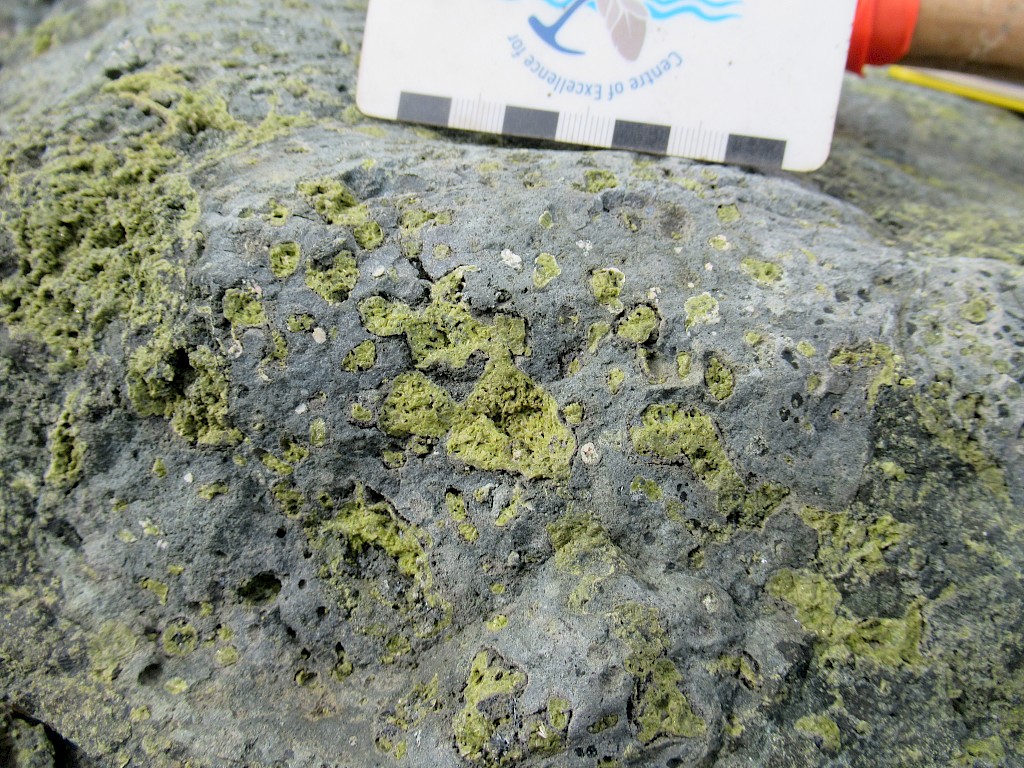 Andrei | Romios Gold Resources Inc.